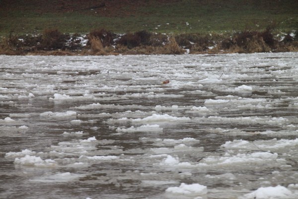 На річках кілометрові затори з льоду: його підривають рятувальники