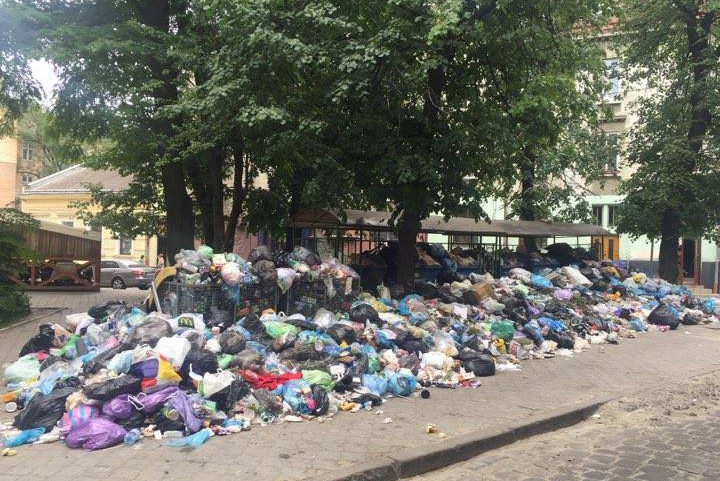 В двух районах Львова сильное бактериальное загрязнение