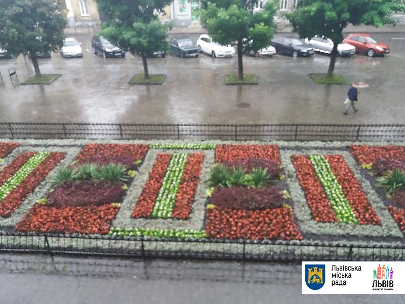 В Лычаковском районе появится цветочный торт