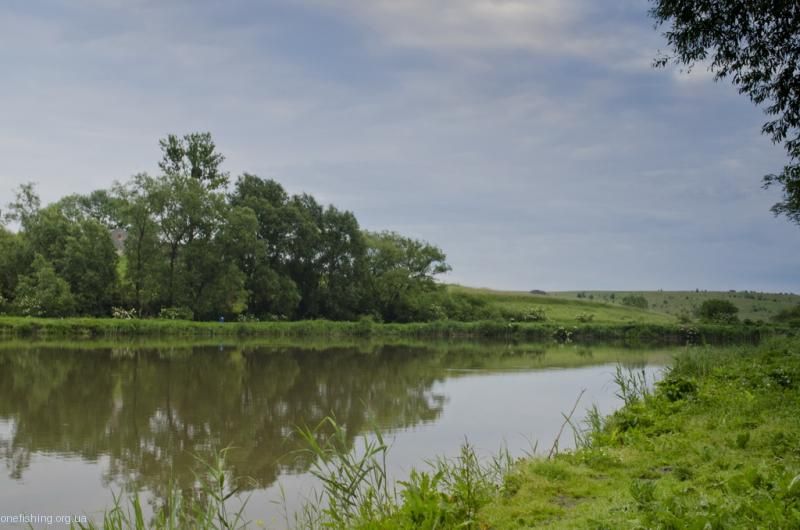 Річка на Львівщині забруднена фосфатами