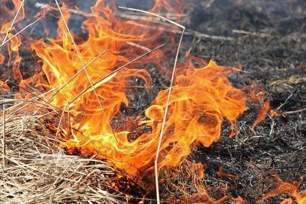 У Львові попереджають про надзвичайну пожежну небезпеку