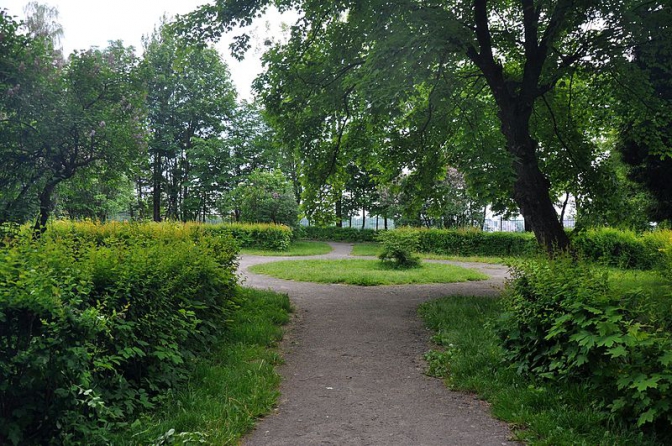 Як реконструюють Личаківський парк