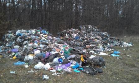 В Перемышлянском районе обнаружили мусор из Дрогобыча