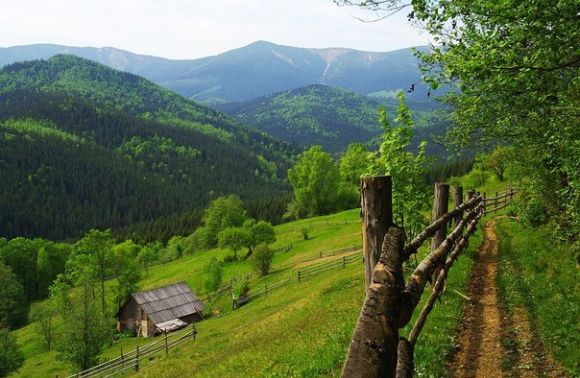Кабмин поддержал создание в Карпатах национального парка "Бойковщина"