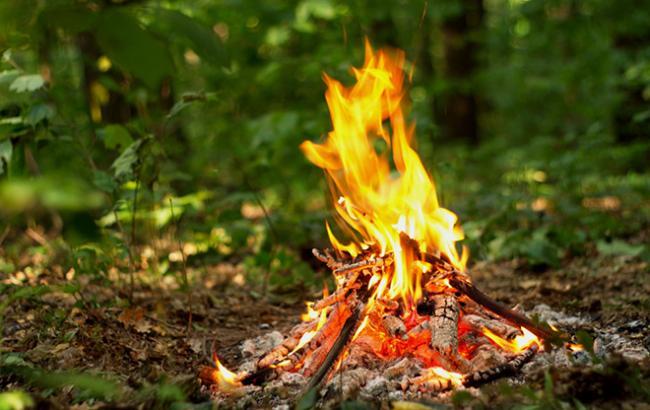 На Львовщине предупреждают о чрезвычайной пожарной опасности