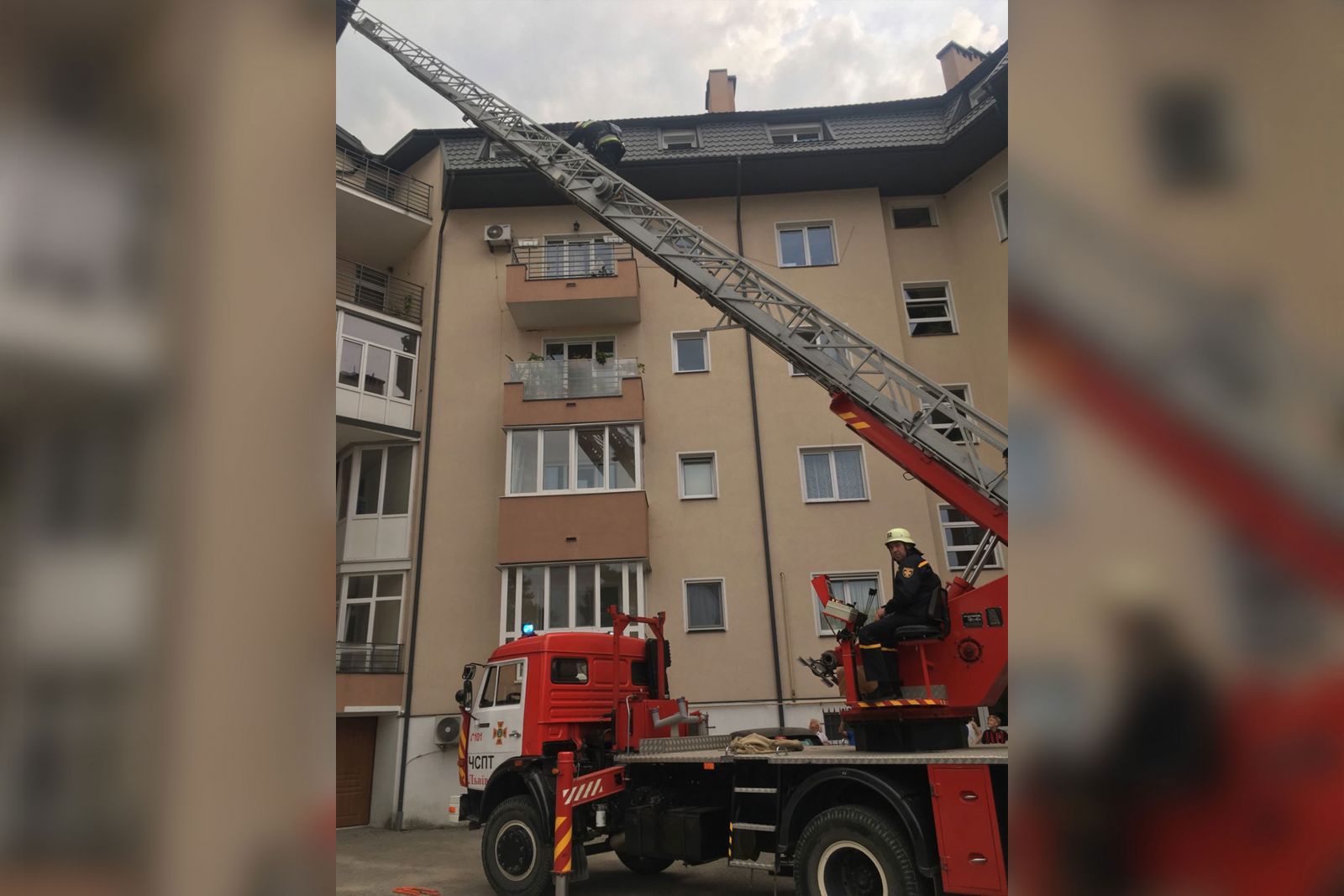 На Львівщині кілька чоловіків рятували ластівку (фото)