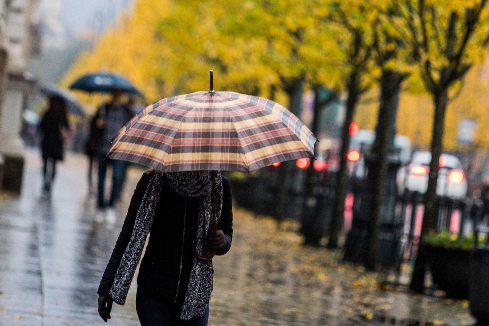 Синоптики повідомили, якою буде погода на Львівщині в жовтні
