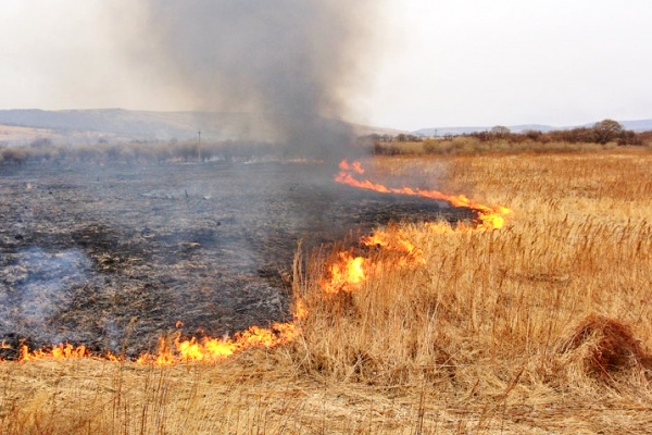 За добу на Львівщині - понад 30 пожеж сухостою