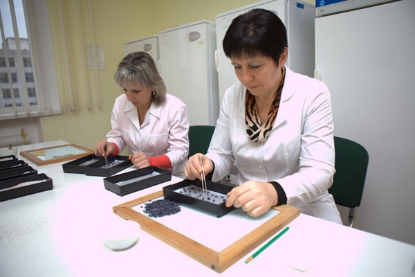 На Львівщині запрацюють насіннєві лабораторії