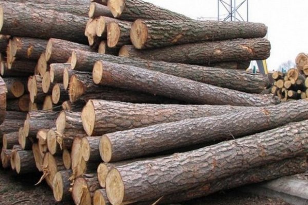Лісогосподарські підприємства наторгували 2 мільйони