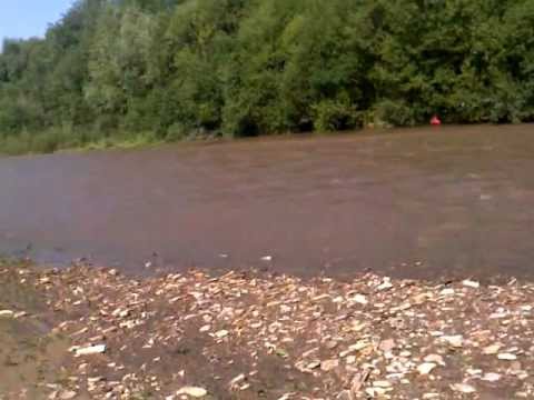 На Львівщині автомобіль впав у ріку