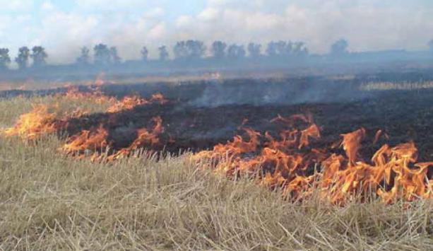 Львовскую область накрыли пожары