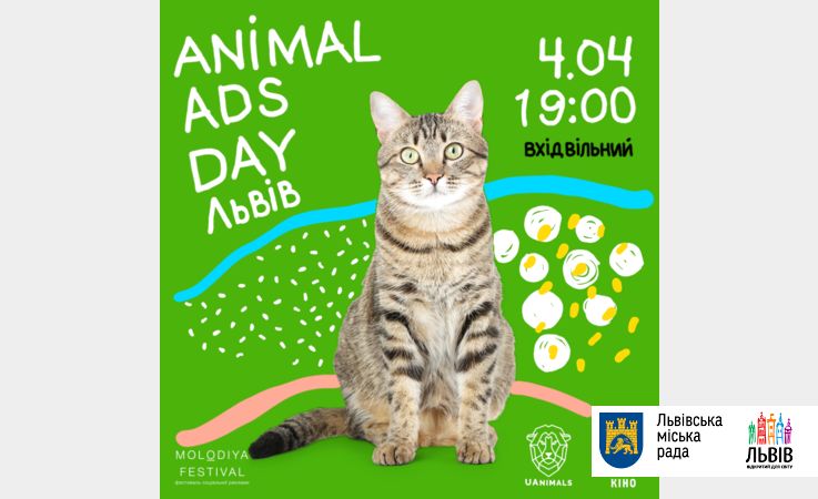 Во Львове покажут лучшую рекламу о защите животных