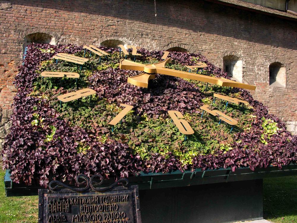 На квітковому годиннику у Львові висадили віоли