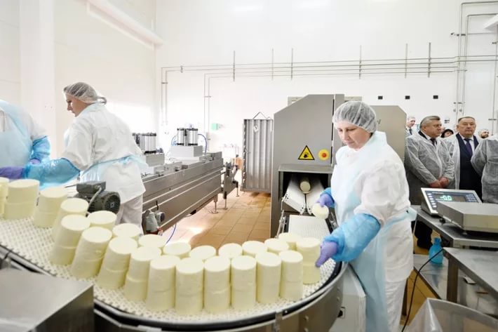 На Львовщине откроют сырный завод