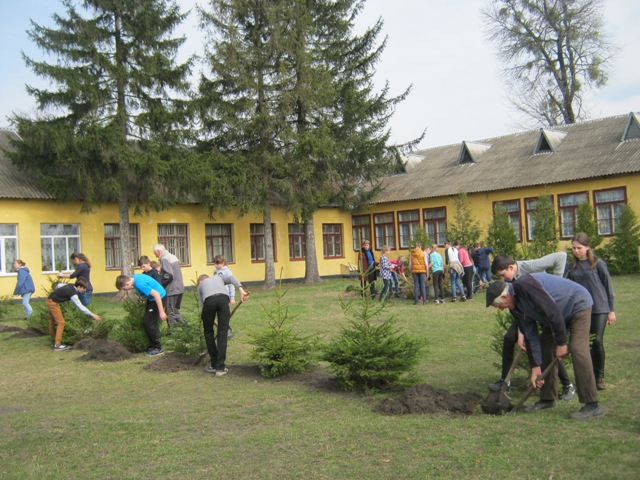 На Львівщині висадили 140 га лісу