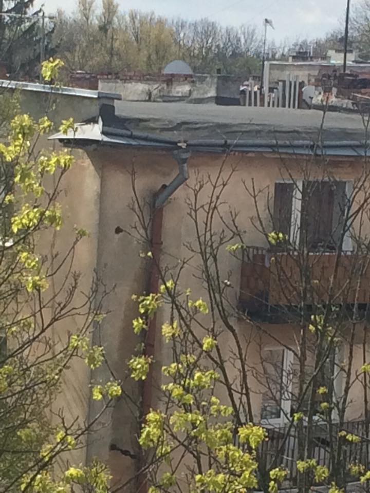 На улице Антоновича оторвало трубу (фото)