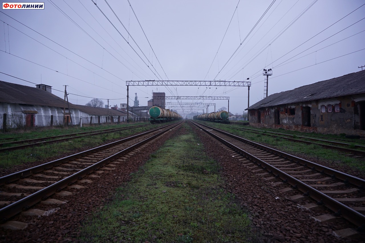 На станции Городок погиб работник железной дороги