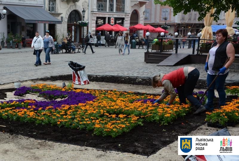Біля Ратуші з’явилася клумба у вигляді герба Львова