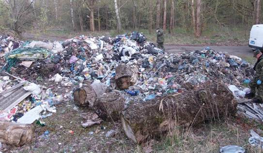 Буський район завалений сміттєзвалищами
