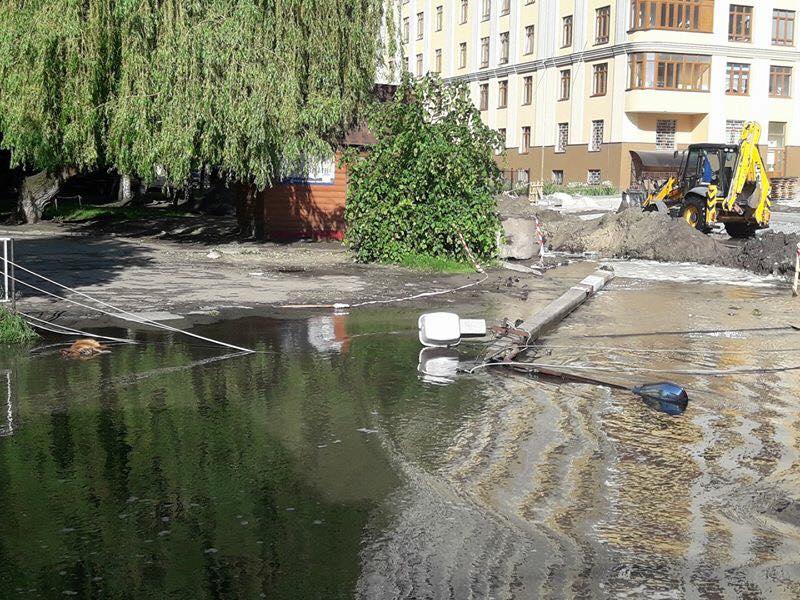 У Шевченківському районі струмом вбило собаку (фото)