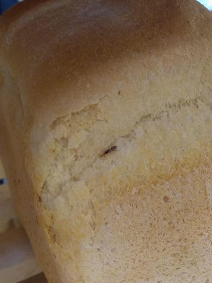 Львовянин купил хлеб с тараканом (фото)
