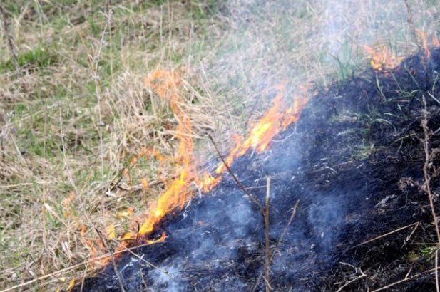 На Львовщине объявлена чрезвычайная пожарная опасность