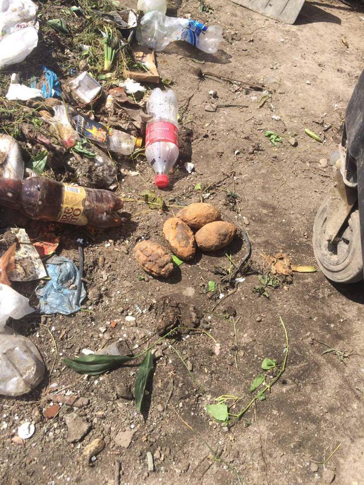 На львовских мусорках обнаружены пять гранат (фото)