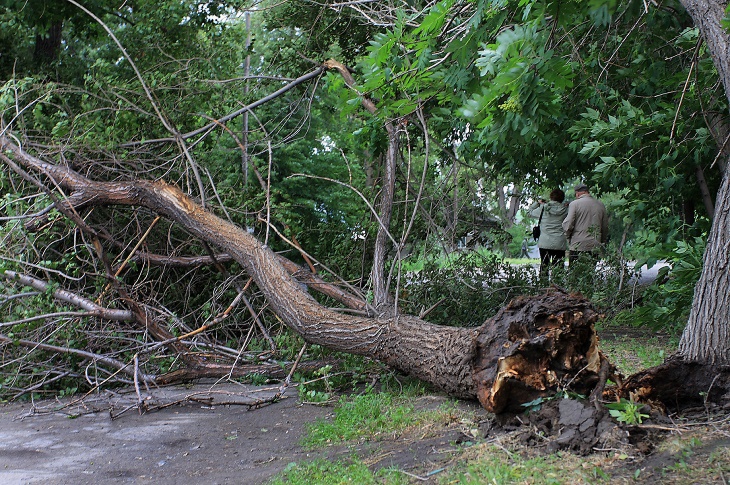 На Львівщині ураган повалив опору ліній електропередач