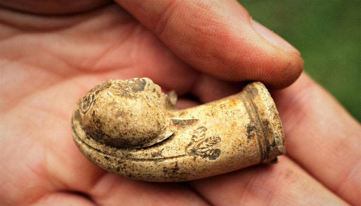 Перед Львівським університетом археологи знайшли цінні предмети