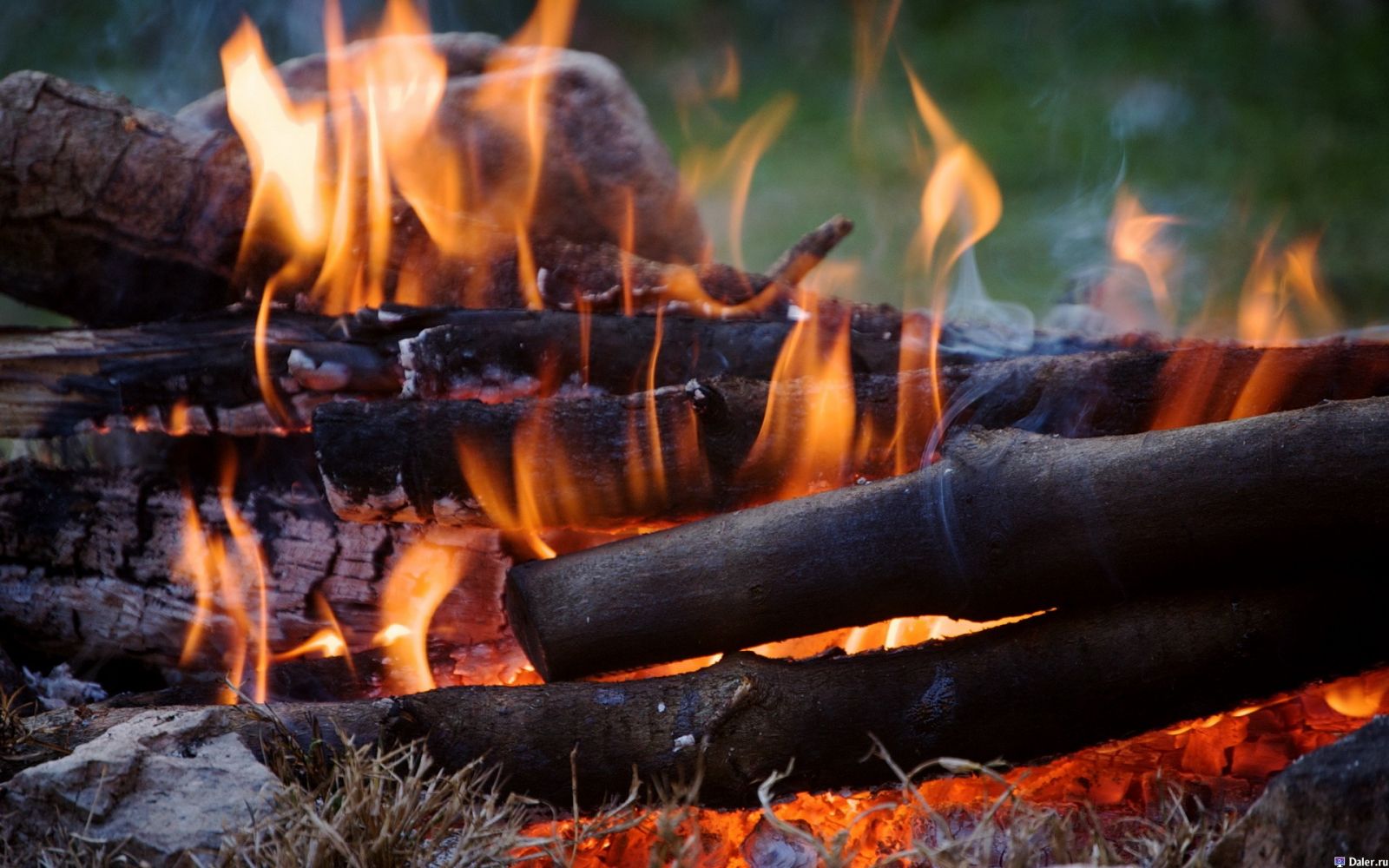 На Стрийщині діти отримали опіки, коли дорослі розпалювали вогнище