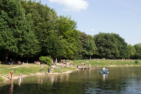 В парку "Горіховий гай" почистять озеро