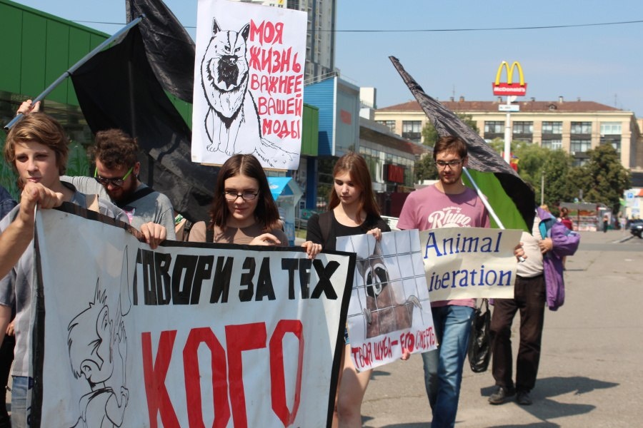 У Львові відбудеться марш за права тварин
