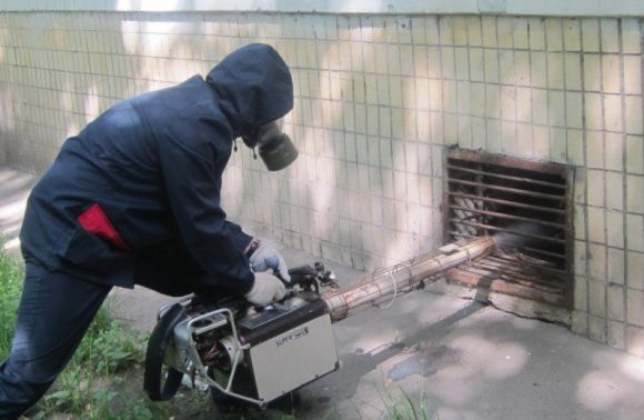 У львівських будинках розкладуть отруту для гризунів