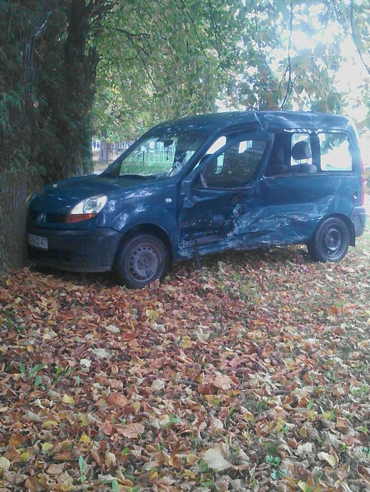 Во Львове автомобиль влетел в дерево (фото)