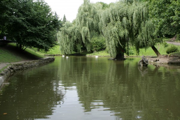 Пять водных объектов во Львове чрезмерно загрязнены