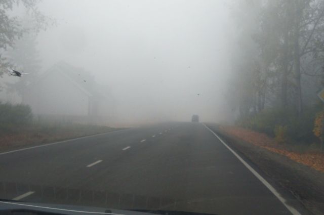 На Львівщині збережеться туман (прогноз)