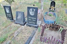 У Львові може з'явитися цвинтар для домашніх тварин