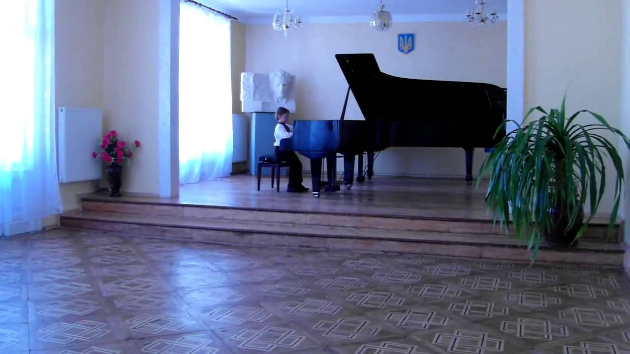 Музичні школи Львова отримають нові музичні інструменти