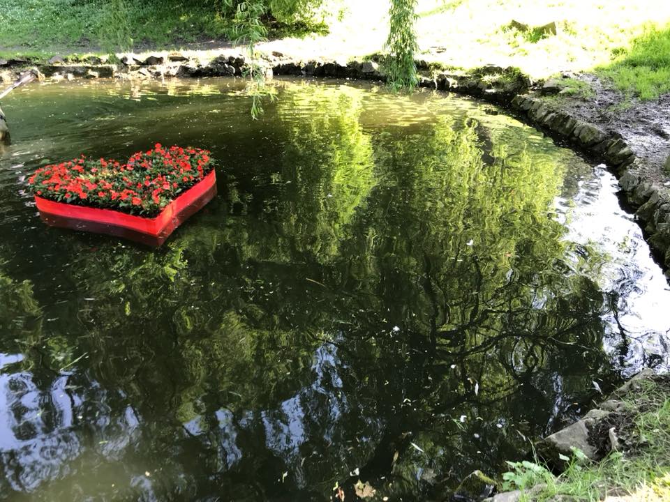 В Стрыйском парке запустили уникальное "Сердце на воде" (фото)