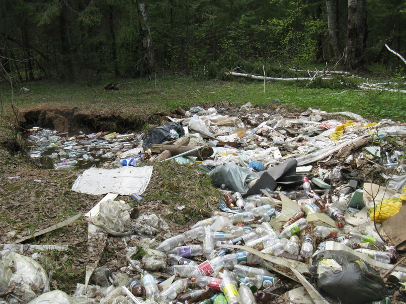 У Львівській області прибрали половину сміттєзвалищ