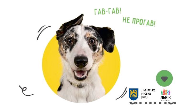 Во Львове на улицах будут чипировать собак (адреса)