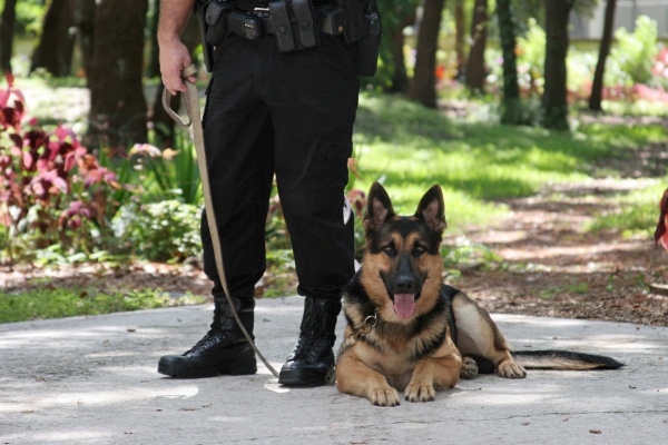 Львовская полиция планирует построить питомник для собак