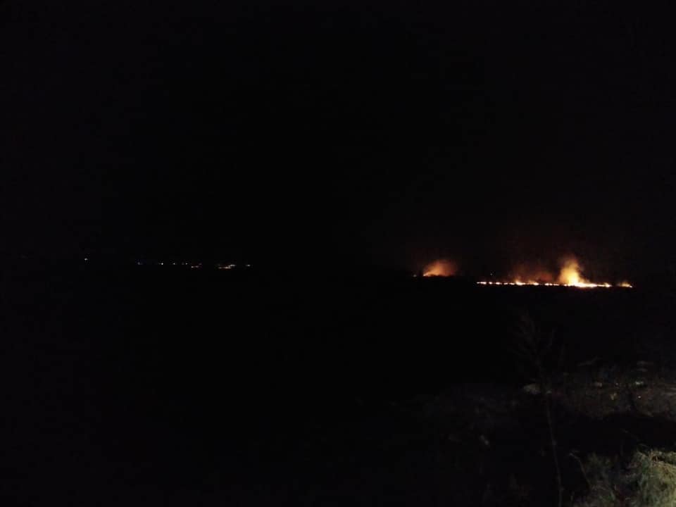 В Пустомытовском районе горело поле
