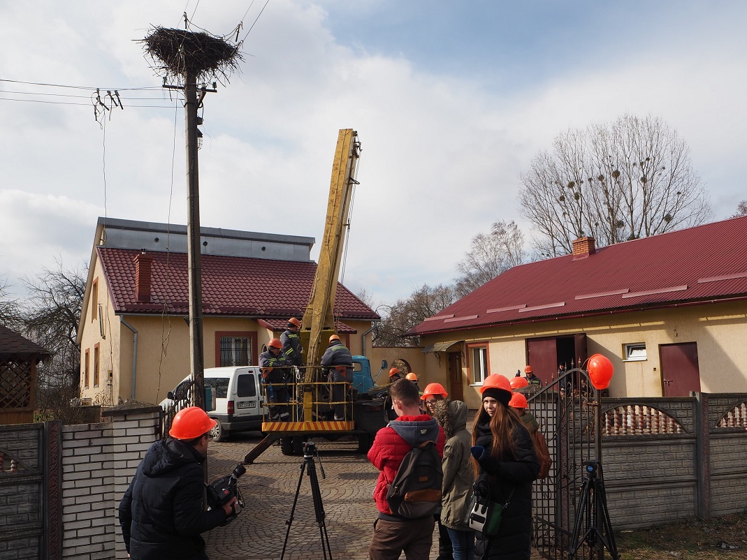 На Львівщині будують домівки для лелек