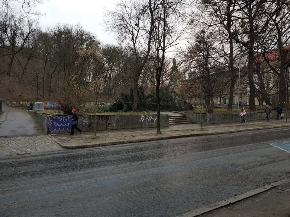 В центрі Львова впала ялинка (фото)