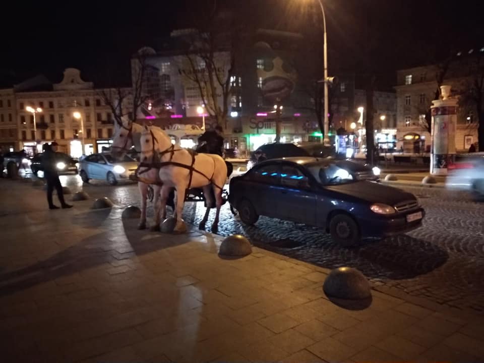 В центре Львова автомобиль въехал в карету