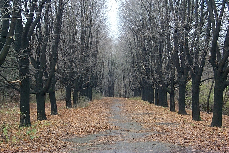 У Львові просять відновити Снопківський парк