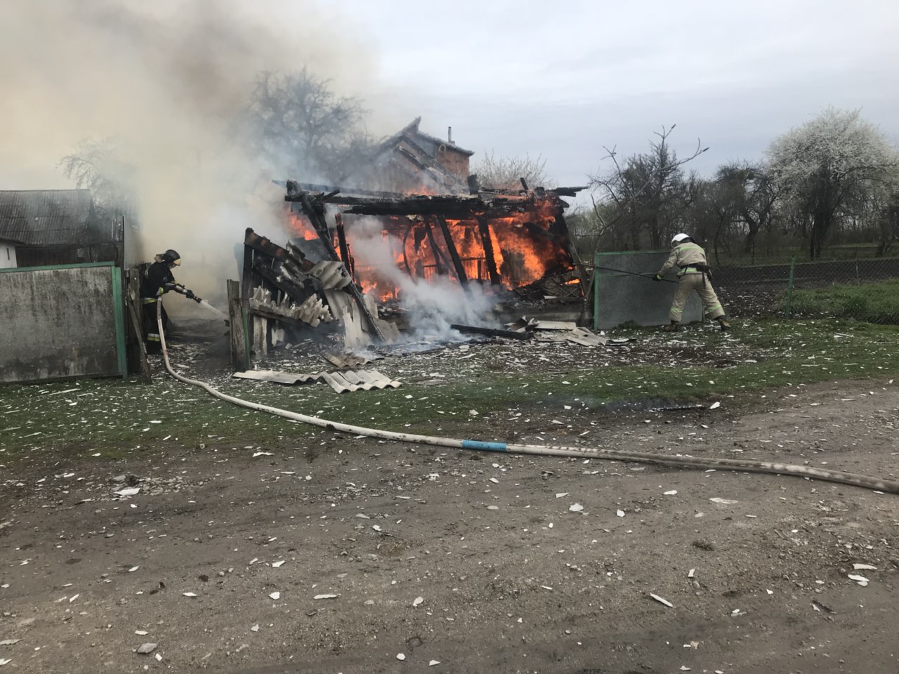 Во Львовской области сгорела корова