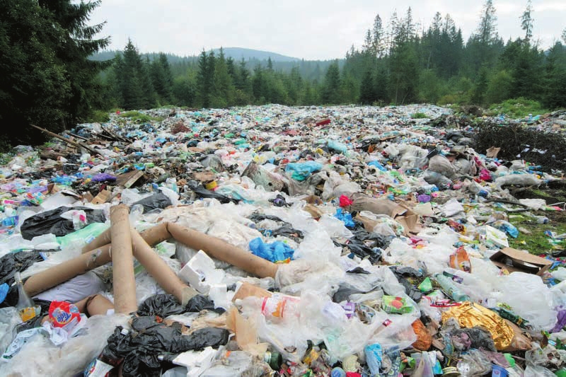 На Львовщине просят президента Украины помочь с мусорным полигоном